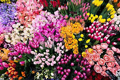 索尼互娱全球裁员900人 关闭伦敦工作室