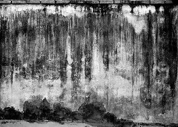 模拟驯兽《动物训练师》最新预告 2023年Steam发售